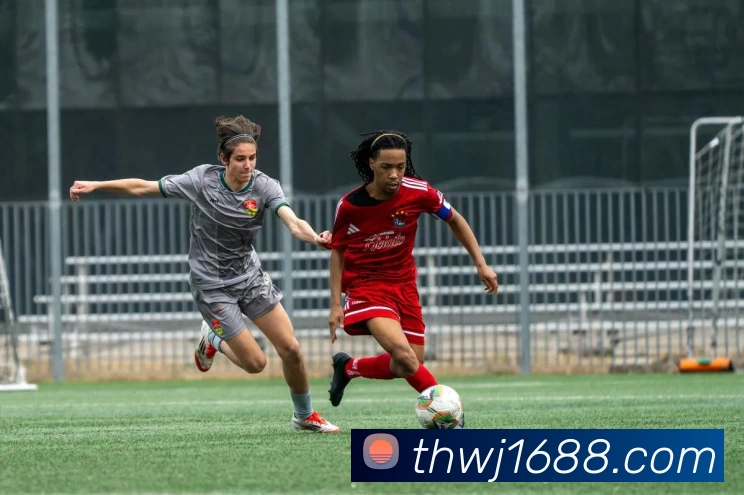 头号玩家娱乐平台发展历程